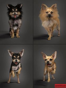 81846 动物 纹理 Chihuahua for Daz Dog 8: Penelope and Zorro Add-on