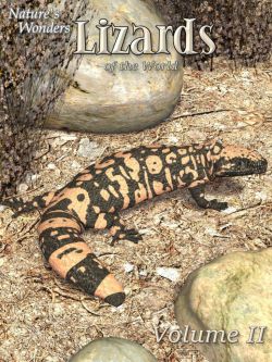 动物 蜥蜴纹理 Nature's Wonders Lizards of the World Vol. 2