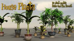 104243 道具 盆景 House Plants