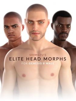 49709 人物 头部变形 Shimuzu's Elite Head Morphs for Genesis 8 Male