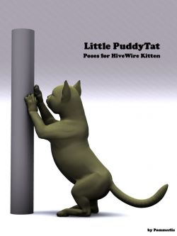 小猫姿态 Little PuddyTat Poses for the HiveWire Kitten