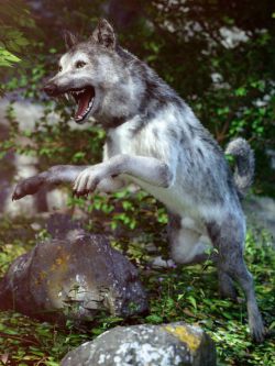 66267 动物 狼 Grey Wolf for Daz Dog 8