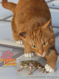 家猫纹理 CWRW Orange Tabby for the HW House Cat