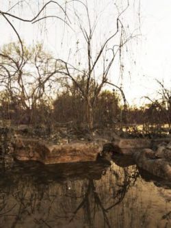 149785 道具 植物 3D Scenery: Old Swamp