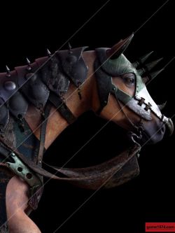 81398 道具 马的盔甲纹理 Guardian Horse Armor for DAZ Horse 2 Textures