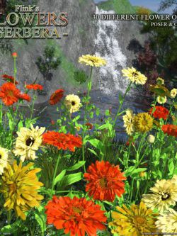115901 植物 花朵 Flinks Flowers - Flower 2 - Gerbera by Flink ()