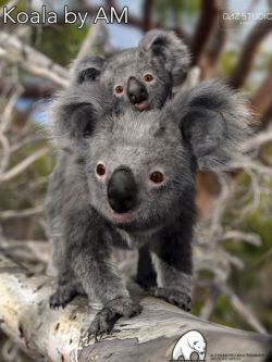 22749 动物 考拉 Koala by AM