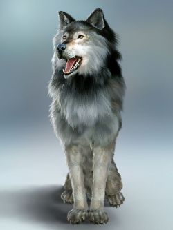 73963 动画 Dire Wolf Animations for Daz Dog 8 and Genesis 8