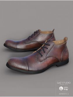 24054 鞋子 Leather Shoes For Genesis 3 Male