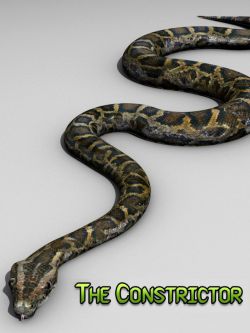 21077 动物 大蟒蛇  The Constrictor