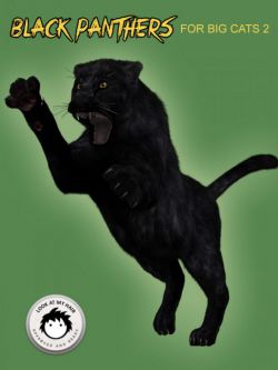 17822 动物 豹 Black Panthers for DAZ Big Cat 2