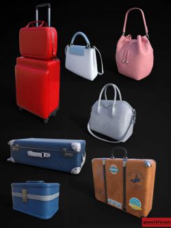 73493 皮包和行李箱 FG Luggage