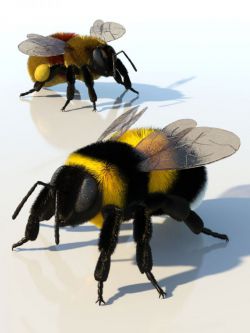 81644 动物 熊蜂 Bumblebee