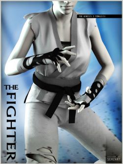 115447 服装  The Fighter for Genesis 3 Female by serzart ()