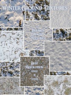 77876 冬季地面纹理 Flinks Winter Ground Textures