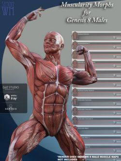 50641 人物 肌肉形态 Muscularity Morphs for Genesis 8 Male