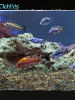 121765 动物  非洲鱼3D Underwater Fauna: African Cichlids by ShaaraMu