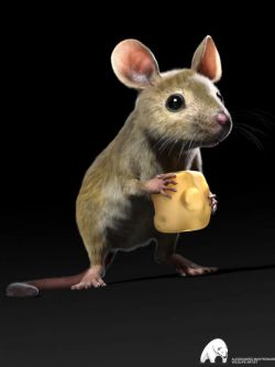 72363 老鼠 Mouse by AM