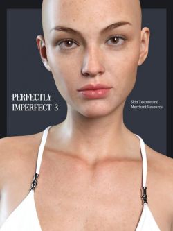 81408 皮肤资源 RY Perfectly Imperfect Skin 3 Merchant Resource for