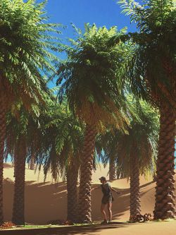 82961 道具 捕食者枣椰树 Predatron Date Palm Trees