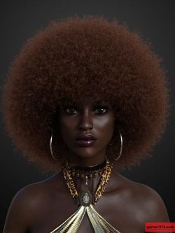 79910 头发 Afro Hair for Genesis 3 and 8