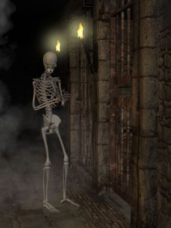 153122 骨架 Skeleton for G8F