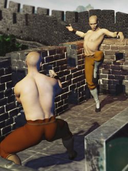 79866 姿态 KungFu Poses for Genesis 8 Males