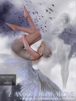 47493 姿态 天使 Z Angel From Above - Poses for Genesis 8 Female & Victoria 8