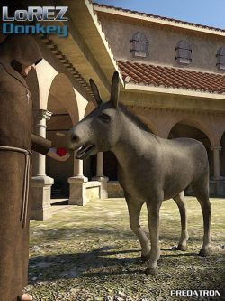 12751 动物 驴 LoREZ Donkey