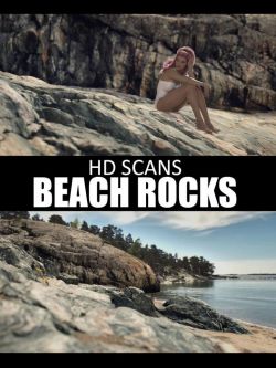 83251 场景 背景 高清扫描海滩岩石 HD Scans Beach Rocks