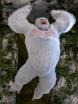 63613动物姿态 White King Poses for Gorilla for Genesis 8 Male