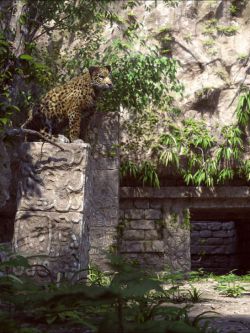 34211 场景 玛雅遗址 Mayan Ruins