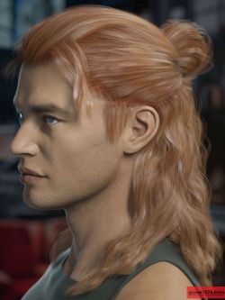 80926 头发 Briggs Hair for Genesis 8 Male and Females