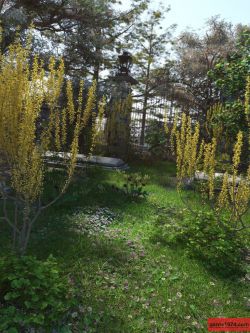74117 盛景 道具 树木 Spring Flowering Shrubs - Golden Forsythia