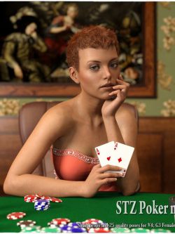 138512 姿态 扑克室姿态  STZ Poker night