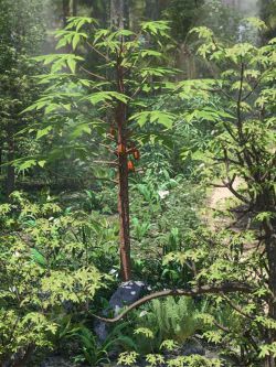 87137 道具 热带水果和树叶  Tropical Fruit and Foliage for Daz Studio