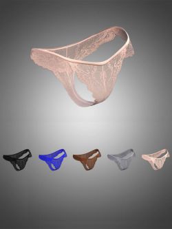 84277 服装 网眼内裤X-Fashion Dreams Mesh Lingerie Bottom for Genesis 8 ...