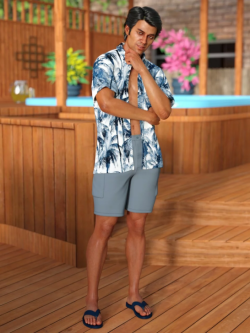 62249 服装 dForce Poolside Oahu Outfit for Genesis 8 Male