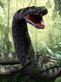 79640 动物 蛇 TitanoboaDR by Dinoraul