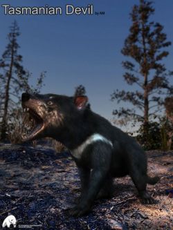 24219 动物 Tasmanian Devil by AM