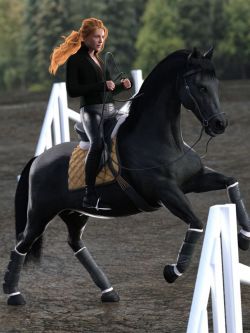 89195 马的姿态 Gentle Horse Poses for Daz Horse 3, English Style Tack, an...