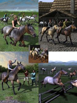 15417 捆绑包 Walking, Trotting, Cantering, Galloping, and Jumping Actions Bundle