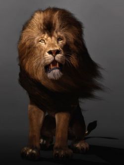 63561 动物 狮子 Felidae by AM - Lion - dForce Addon
