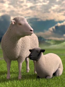 82978 动物 羊  DAZ Sheep 2
