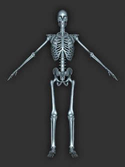 骷髅 Skeleton For Genesis 9