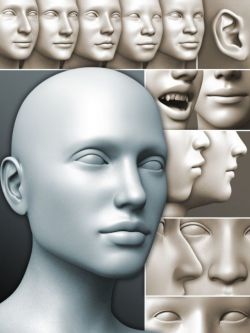 22633 变形资源 200 Plus - Head & Face Morphs for Genesis 3 Female