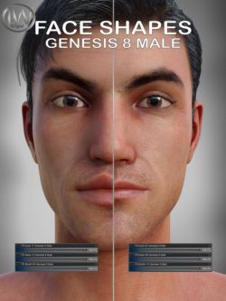 56017 人物 脸型 Face Shapes for Genesis 8 Male