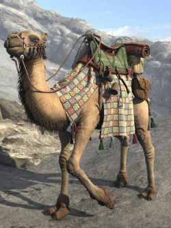 21424 动物 骆驼 My Camel Camelia HD