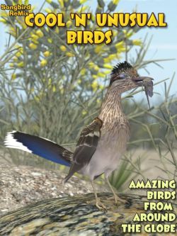 146141 动物 鸟类 Songbird ReMix Cool & Unusual Birds