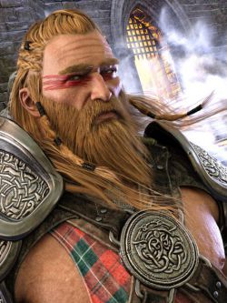 37033 头发胡须 Dragonsbane Barbarian Hair and Beard for Genesis 3 Male(s)